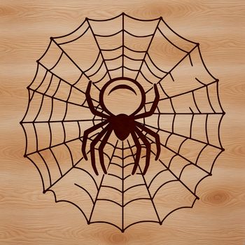 A delicate spider web designed as a vector graphic, perfect for cutting out with a Cricut or laser cutter.