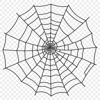 A detailed, vector illustration of a spider web, perfect for digital use in various formats such as PDF or DXF.