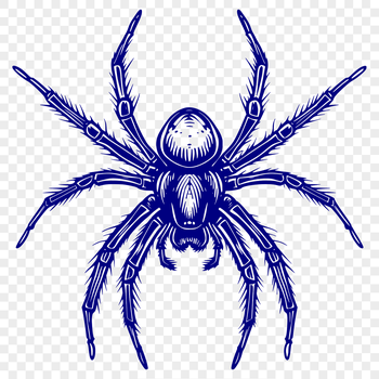 A vector illustration of a witch surrounded by spiders in a spooky forest setting.