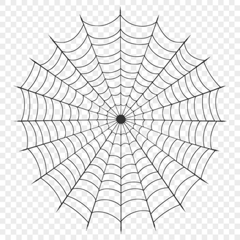 Unique Spider Web Illustration