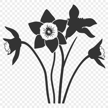 Illustrative vector image of a daffodil flower, commonly associated with Easter celebrations.