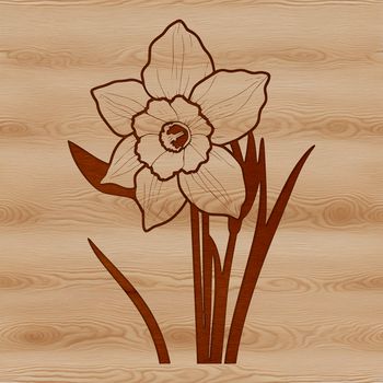 A vector illustration of a single blooming daffodil flower in a green stem against a white background.