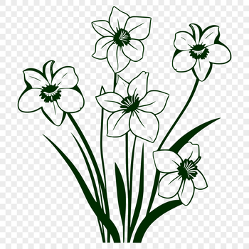 A realistic illustration of a daffodil plant with trumpet-shaped flowers, suitable for vector design.