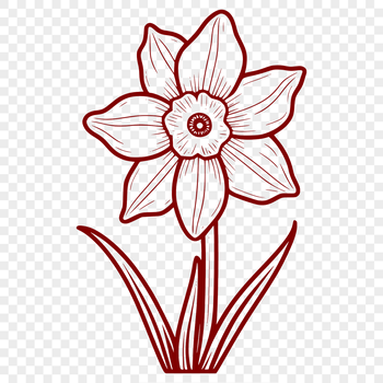 Close-up illustration of a daffodil flower with yellow trumpet-shaped blooms and green leaves.