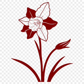 A close-up illustration of a daffodil flower with yellow petals and a green stem, suitable for vector design.