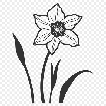 A colorful illustration of a daffodil plant with long green stem and trumpet-shaped flowers.