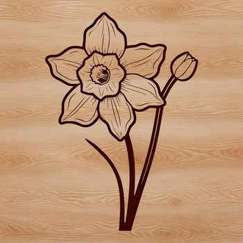 A vector graphic representation of a single daffodil plant with white petals and yellow center.