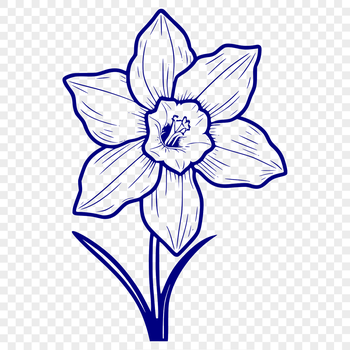A single daffodil flower in full bloom, ready to be used as a vector graphic design element.