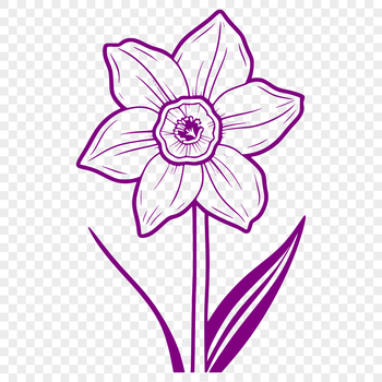 A yellow and green daffodil flower with trumpet-shaped blooms, suitable for vector design and cutting machine projects.