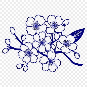 A vector illustration of a cherry blossom flower in bloom.