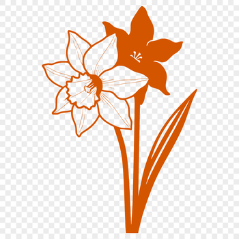 A stylized illustration of a daffodil flower with long green stem, suitable for graphic design projects.