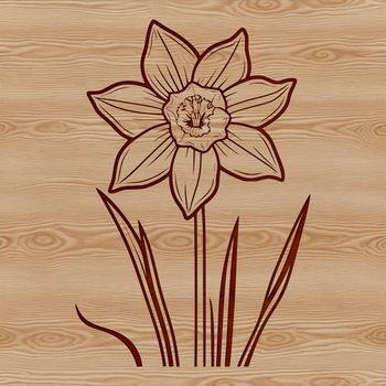 Illustrative vector design of a single white daffodil flower on a green stem.