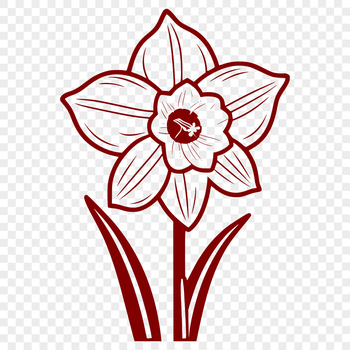 A white and yellow daffodil flower with trumpet-shaped center and long, narrow petals.
