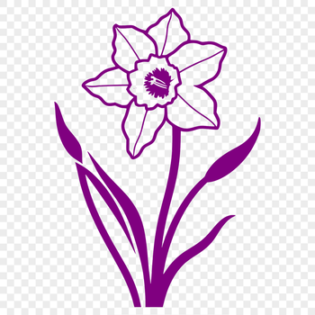 A vector illustration of a single daffodil flower with trumpet-shaped petals, suitable for graphic design and digital art.