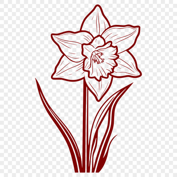 A simple illustration of a single daffodil flower with trumpet-shaped blooms and green leaves.