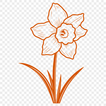 A simple illustration of a daffodil flower in an upright position.