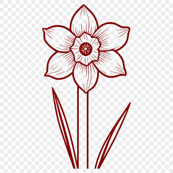 A single daffodil flower with green stem and foliage, suitable for vector graphics design.