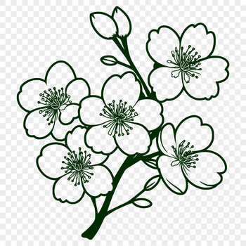 An intricately designed vector graphic of a single cherry blossom plant in monochromatic tones.