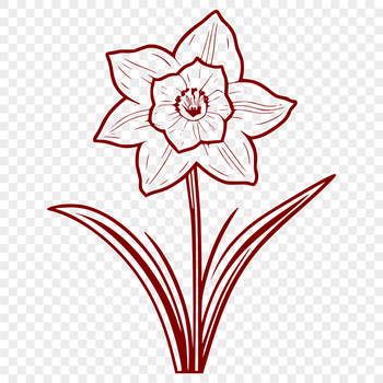 A detailed illustration of a daffodil flower in full bloom.