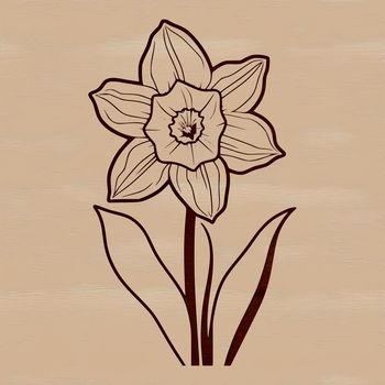 A stylized illustration of a daffodil flower, suitable for use in vector designs and clip art projects.