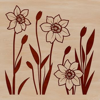 A detailed illustration of a single daffodil flower in full bloom, suitable for graphic design projects.