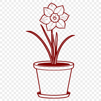 A single daffodil plant with bright yellow trumpet-shaped flowers growing in a small pot.