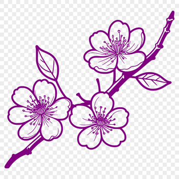A vector graphic representation of a single sakura flower with detailed petals and stem.