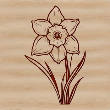 A vector illustration of a single daffodil flower against a white background, suitable for personal or commercial projects.