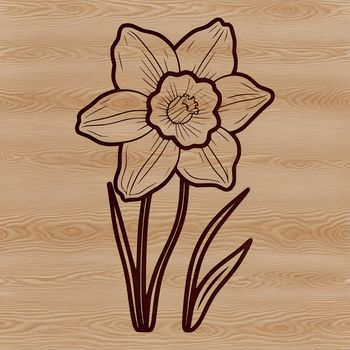 A high-quality vector illustration of a single daffodil flower with bright yellow petals and a green stem.