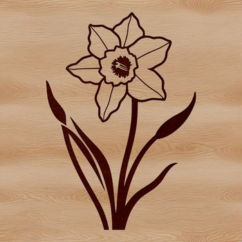 A single stem of a daffodil flower with trumpet-shaped blooms, suitable for vector design.
