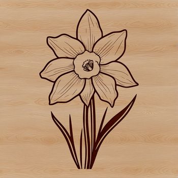 A single white daffodil flower with bright yellow trumpet-shaped center, set against a green stem.