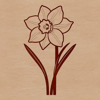 Illustration of a daffodil flower in a vector format.