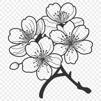 A stylized illustration of a single cherry blossom in bloom, featuring delicate petals and a central stem.