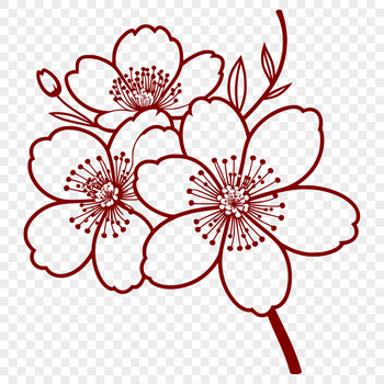 A detailed illustration of a cherry blossom in full bloom, suitable for vector design and cutting machine projects.