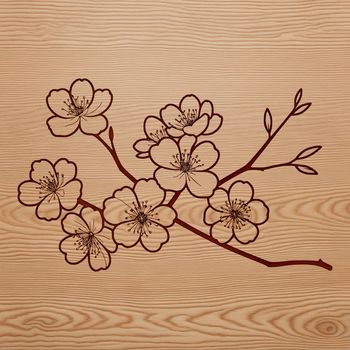 A stylized illustration of a cherry blossom in bloom, perfect for crafting and design projects.