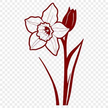 An isolated vector design of a daffodil plant in full bloom, suitable for digital projects.