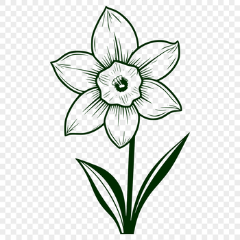 A stylized illustration of a daffodil flower in bloom.
