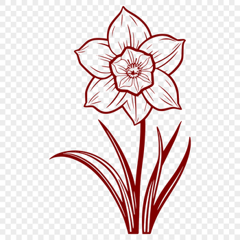 A high-quality vector illustration of a single daffodil flower with six petals and a prominent center.