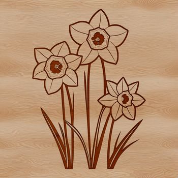 A single white and yellow daffodil flower on a green stem, against a transparent background.