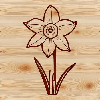 An SVG graphic representation of a daffodil plant in bloom.