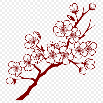 A stylized vector design featuring a single cherry blossom flower with delicate petals.