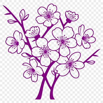 A stylized illustration of a cherry blossom in full bloom, suitable for digital design.