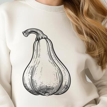 A high-quality vector image of a squash, suitable for printing or digital design.