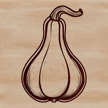 A stylized illustration of a ripe yellow squash, suitable for vector graphics and digital art.