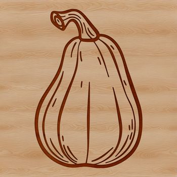 A detailed vector illustration of a squash with realistic texture and color.