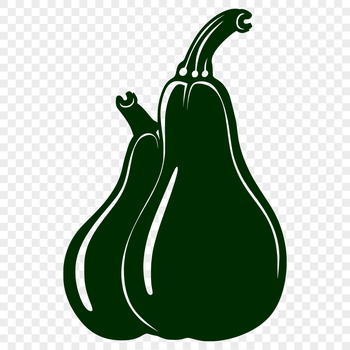A detailed illustration of a squash vegetable, suitable for vector graphics and cutting machine designs.