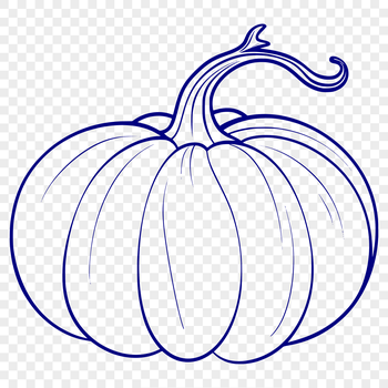 An edible summer squash with smooth, slightly ribbed skin and rounded shape.