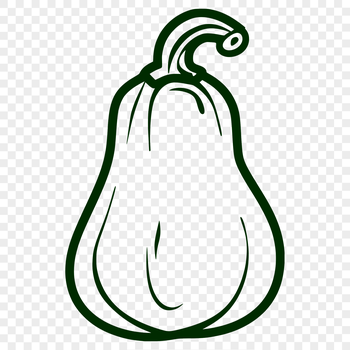 A simple line drawing of a squash, suitable for clip art and vector design projects.