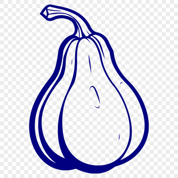 A high-resolution vector illustration of a squash fruit, suitable for graphic design and digital crafting.