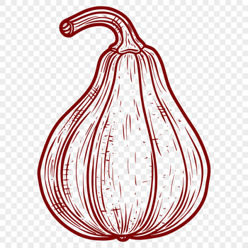 A vegetable illustration of a mature squash with green skin and ridges.
